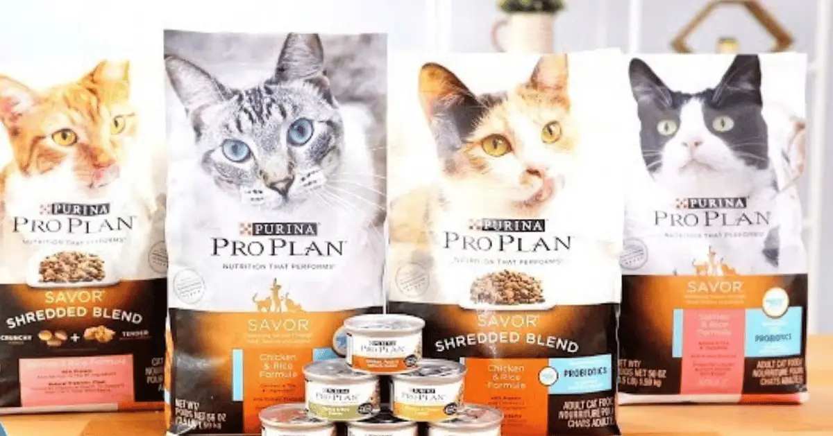 Purina Pro Plan Savor Cat Food