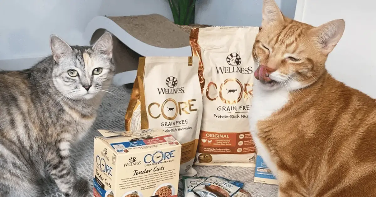 Wellness CORE Grain-Free Cat Food