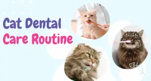 A detailed guide on common dental diseases in cats, highlighting symptoms, causes, and prevention tips to improve feline oral health.